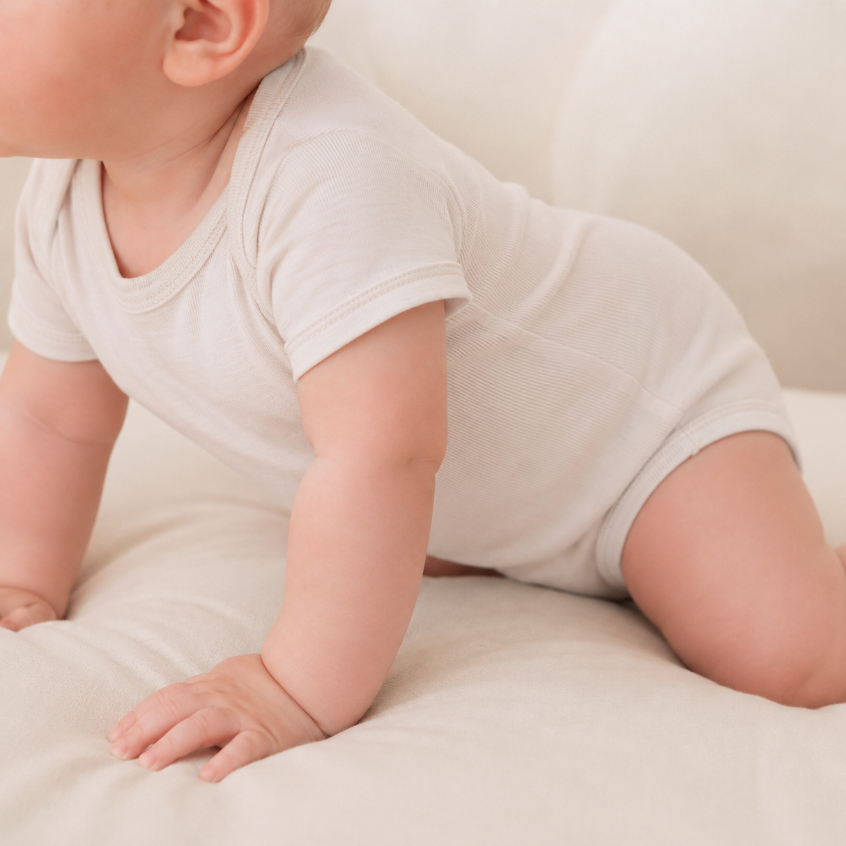 Body cu mânecă scurtă din 100% lână merino fină certificată